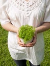 Young woman holding potted plant Royalty Free Stock Photo