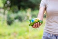 Young woman holding small planet in hands against spring or summer green background. Ecology, environment and Earth day Royalty Free Stock Photo