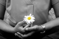 Young woman holding a white daisy flower in hand, cross-legged in yoga or prayer pose gesture. Be balance, find balance in life. Royalty Free Stock Photo