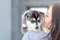 Young women holds her best friend little pet puppy of husky in her arms. love for dogs Royalty Free Stock Photo