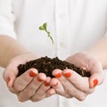 Young woman holds out sprout