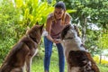 Young woman in home teaching her two dogs to give a paw as a greeting by rewarding with a cookie Royalty Free Stock Photo