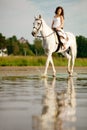 Young woman on a horse. Horseback rider, woman riding horse on b