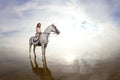 Young woman on a horse. Horseback rider, woman riding horse on b Royalty Free Stock Photo