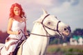 Young woman on a horse. Horseback rider, woman riding horse on b Royalty Free Stock Photo