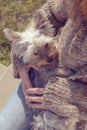 Young woman hugging and cuddling her Yorkshire terrier puppy dog in her lap Royalty Free Stock Photo