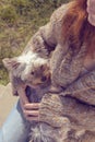 Young woman hugging and cuddling her Yorkshire terrier puppy dog in her lap Royalty Free Stock Photo