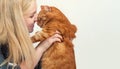Young woman hugging her beautiful redhead cat.Love to the animal. Royalty Free Stock Photo