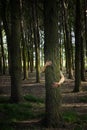 Young woman Hugging Tree in Forest Royalty Free Stock Photo