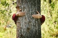 Young woman hugging tree trunk. concept of nature preservation and ecology Royalty Free Stock Photo