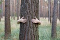 A young woman hugging a tree trunk in a forest Royalty Free Stock Photo