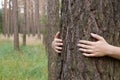 A young woman hugging a tree trunk in a forest in summer day Royalty Free Stock Photo