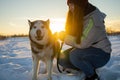 Young Woman With A Husky Dog Walking In Winter Park At Sunset Royalty Free Stock Photo