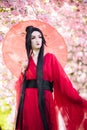 Young woman in image of japanese geisha walks between blooming sakura trees Royalty Free Stock Photo