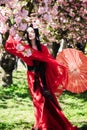 Young woman in image of japanese geisha walks between blooming sakura trees Royalty Free Stock Photo