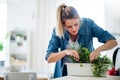 Young woman indoors at home, cutting herbs.