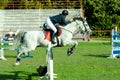 Young woman jockey ride beautiful white horse and jump over the crotch in equestrian sport. October - 05. 2017. Novi Sad, Serbia.