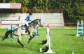 Young woman jockey ride beautiful white horse and jump over the crotch in equestrian sport. Royalty Free Stock Photo