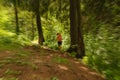 Young woman jogging in a mountain forest Royalty Free Stock Photo