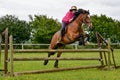 Young woman jumping for joy on her horse. Royalty Free Stock Photo