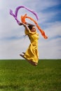 Young woman jumping for joy on a wheat field Royalty Free Stock Photo