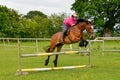 Young woman jumping over a coloured fence on her horse. Royalty Free Stock Photo