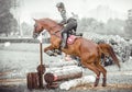 Young woman jumps a horse during practice on cross country eventing course, duotone art