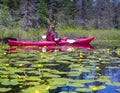 Woman in kayak   among yellow water lily flowers on a pond Royalty Free Stock Photo