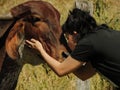 Young woman kissing a cow's head. Veganism Concept