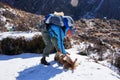 Young woman with a large backpack stroking a ginger dog on a hike in the Himalayas in winter. Mountain climbing, travel
