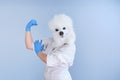 Young woman in a latex dog head mask and white coat making strong sign on a blue background