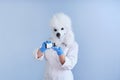 Young woman in a latex dog head mask and white coat taking out a pill from a bottle on a blue background Royalty Free Stock Photo