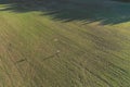 Young woman launches a kite and runs with him across the field. Aerial panoramic view. Royalty Free Stock Photo