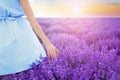 Young woman in lavender field on summer day Royalty Free Stock Photo