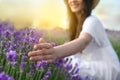 Young woman in lavender field on summer day Royalty Free Stock Photo