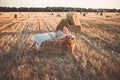 Young woman lean on haystack walking in summer evening, beautiful romantic girl outdoors in field at sunset Royalty Free Stock Photo