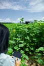 Young woman learning how to pilot her drone in, female using, piloting