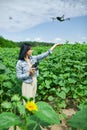 Young woman learning how to pilot her drone in, female using, piloting