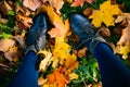 Young woman legs in boots on colorful leaves Royalty Free Stock Photo