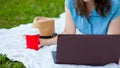 Young woman lies on a plaid and using laptop in the park. Working on laptop outdoors Royalty Free Stock Photo