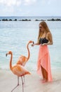 Young Woman with Long Blond Hair in Black Bikini and Pink Wrap Feeding Pink Flamingos on the Beach #2