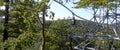 Young woman with long blonde hair hangs from the tree suspension railroad above the treetops