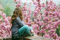 Young woman with long hair sitting in front of cherry blossoms. Sakura in spring with pink flowers Royalty Free Stock Photo