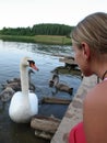 Young woman looking at the white swan Royalty Free Stock Photo