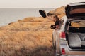 Young Woman Looks Out of the Car Window on the Sea Background, Girl Enjoying Road Trip Royalty Free Stock Photo