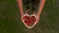 Young woman lowering a heart shaped wooden bowl of fresh red strawberries