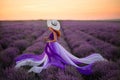 Young woman in luxurious purple dress standing in lavender field, rear view Royalty Free Stock Photo