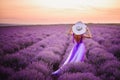 Young woman in luxurious purple dress standing in lavender field, rear view Royalty Free Stock Photo