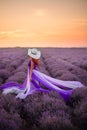 Young woman in luxurious purple dress standing in lavender field, rear view Royalty Free Stock Photo