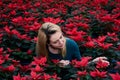 Young woman among many red poinsettia flowers chooses one of them in a plant nursery Royalty Free Stock Photo